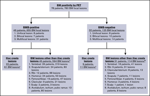 Distribution of focal BM uptake on PET/CT. Note that the same patient could have PET+ lesions at multiple sites. ‡ Unifocal lesion, 0 patients; bifocal lesions, 4 patients; multifocal lesions, 18 patients. †Unifocal lesion, 8 patients; bifocal lesions, 6 patients; multifocal lesions, 31 patients. *Unifocal lesion, 1 patient; bifocal lesions, 1 patient; multifocal lesions, 7 patients. #Unifocal lesion, 8 patients; bifocal lesions, 11 patients; multifocal lesions, 12 patients.