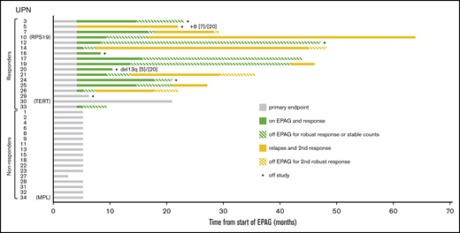 Longitudinal mapping of responses, relapses, and cytogenetic progression. All enrolled patients are shown, grouped into responders and nonresponders at the primary end point of 16 to 20 weeks. From baseline until the primary end point or early discontinuation due to intolerance (UPN27), all patients were taking EPAG, designated by gray bars. Seventeen patients met hematologic response criteria at the primary end point and were continued on EPAG on the extension arm of the study, designated by solid green bars. Twelve of 17 patients reached robust or stable response criteria (see the Methods section) and were taken off EPAG (hatched green bars). Seven of these patients relapsed after EPAG was discontinued; EPAG was restarted, and all of them again responded (solid yellow bars). Four patients again reached a robust response and came off EPAG a second time (hatched yellow bars). The 2 patients with cytogenetic progression are shown with the specific chromosomal change and the number of abnormal metaphases. The 3 patients with germline mutations are indicated (TERT, RPS19, and MPL).
