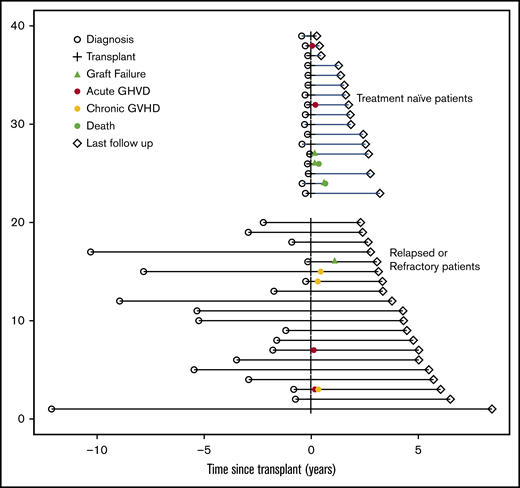 Swimmer’s plot from diagnosis through outcome for all haploidentical patients.