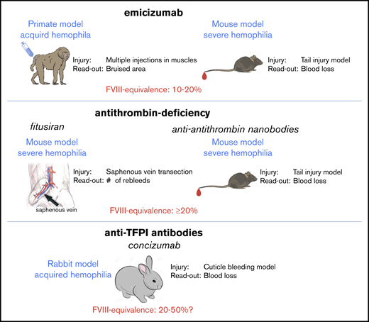 Animal models to estimate FVIII equivalence of nonfactor therapies. Different types of animal models have been used to estimate FVIII equivalence for nonfactor therapies. For emicizumab, a primate acquired hemophilia A model has been used21,63 and a semi-humanized mouse model for FVIII-deficiency.64 In both models, the use of an FVIII calibrator allowed to estimate the FVIII equivalence to be 10% to 20%. For fitusiran, FVIII-deficient mice displayed a strong reduction of their bleeding tendency.27 However, no FVIII calibrator curve was used to determine an FVIII equivalence. In an alternative approach using anti-antithrombin nanobodies, inhibition of antithrombin activity appeared to correspond to an FVIII equivalence of ≥20%.52 Regarding concizumab, a rabbit model for acquired hemophilia has been described.65 Also in this model, an FVIII calibrator was unavailable. Based on the observed efficiency in the cuticle bleeding model, the FVIII equivalence seems to be ≥20% FVIII.