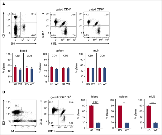 ST3Gal-IV is important for reconstituting the peripheral T-cell compartment in MBMC mice. Flow cytometric analysis of T cells (A) and B cells (B) in blood, spleens, and mLNs of MBMC mice generated as described in Figure 1. Dot plots show the frequencies of CD4+ and CD8+ T cells (A) or B cells (B) and the distribution of WT donor cells (CD45.1+CD45.2+), ST3Gal-IV–deficient (KO) donor cells (CD45.1−CD45.2+), and WT recipient cells (CD45.1+CD45.2−) within the corresponding parental gate from 1 representative mouse. Bars represent the mean ± SEM frequency of WT (blue) and ST3Gal-IV–deficient (red) cells among all donor cells from 2 independent experiments with 14 mice total per group. ***P < .001 by 2-tailed Student t test; ###P < .001 by Mann-Whitney U test.