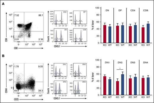 Loss of ST3Gal-IV leads to impaired T-cell development in MBMC mice. Flow cytometric analysis of thymocytes of MBMC mice generated as described in Figure 1. Dot plots show the frequency of CD4 single-positive, CD8 SP, DN, and double-positive (DP) thymocytes (A) or the frequency of DN1 to DN4 populations among total DN cells (B) of 1 representative mouse. Histograms indicate the frequency of WT (CD45.1+) and ST3Gal-IV–deficient (KO) (CD45.1−) cells among total CD45.2+ gated donor cells. Bars show the mean ± SEM frequency of WT (blue) and ST3Gal-IV–deficient (red) cells among all donor cells in indicated gates of 2 independent experiments with 14 mice total per group. *P < .05 by 2-tailed Student t test.