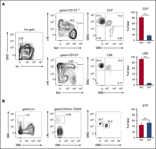 ST3Gal-IV promotes development of early thymic progenitors but is dispensable for the CLP and LSK populations. Flow cytometric analysis of MBMC mice generated as described in Figure 1. (A) Contour plots from bone marrow samples show the frequency of WT donor cells (CD45.1+CD45.2+), ST3Gal-IV–deficient (KO) donor cells (CD45.1−CD45.2+), and WT recipient cells (CD45.1+CD45.2−) from CLP (Lin−CD127+c-Kit+Sca-1+) and LSK (Lin−CD127−c-Kit+Sca-1+) populations of 1 representative mouse. (B) Contour plots show the frequency of WT donor cells (CD45.1+CD45.2+), ST3Gal-IV–deficient (KO) donor cells (CD45.1−CD45.2+), and WT recipient cells (CD45.1+CD45.2−) from the ETP population (Lin−CD25−CD44+c-Kit+) in the thymus of 1 representative mouse. Bar graphs in panels A and B show the mean ± SEM frequency of WT (blue) and ST3Gal-IV–deficient (red) cells among total donor cells from 2 independent experiments with 14 total mice per group. ***P < .001 by 2-tailed Student t test. n.s., not significant.