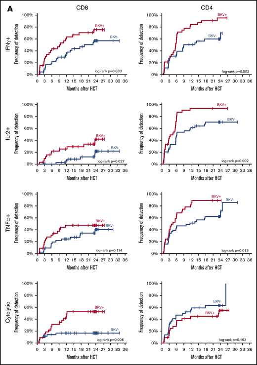 BK virus–specific T-cell reconstitution patterns in cases and controls. (A) Time to first detection of BK virus–specific IFN-γ+, IL-2+, TNF-α+, and cytolytic CD8 and CD4 T cells in BK virus-positive cases and BK virus-negative controls. Differences between curves were assessed by the log-rank test. (B) Absolute individual patient IFN-γ+, IL-2+, TNF-α+, and cytolytic CD8 and CD4 T-cell counts over time, in patients with detectable cells at any time point.