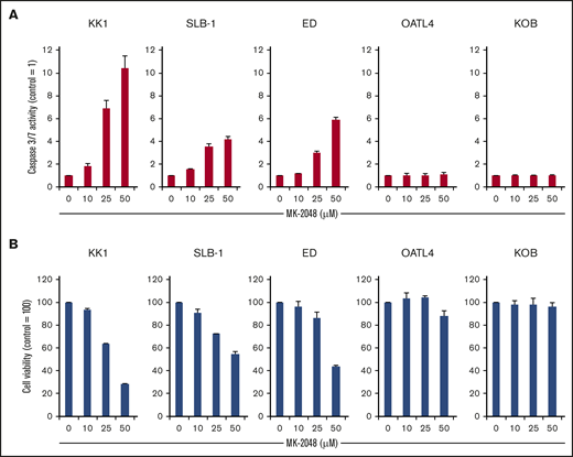 MK-2048 induces caspase-3/7 activation. (A) Caspase-3/7 activity of the indicated cells after 24-hour treatment with MK-2048 (0 to 50 μM). The caspase-3/7 activity values of treated cells relative to those of untreated cells are shown. The results are expressed as the mean ± SD of 3 independent experiments. (B) Simultaneously measured viability. The CellTiter values of treated cells relative to those of untreated cells are shown. The results are expressed as the mean ± SD of 3 independent experiments.