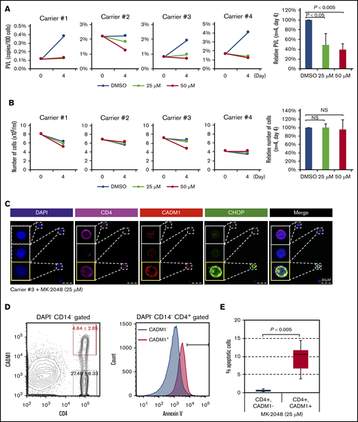 MK-2048 reduces PVLs and induces ER stress–related apoptosis specifically in HTLV-1–infected cells in HTLV-1–carrier PBMCs. (A-B) PBMCs obtained from 4 asymptomatic carriers (numbers 1 to 4) were incubated for 4 days with the indicated concentrations of MK-2048. (A) PVL (copies per 100 cells) in each culture was measured using quantitative PCR. The bar graph shows the mean (carriers numbers 1 to 4) ratio of PVL of MK-2048–treated cells relative to that of MK-2048–untreated cells. (B) Simultaneously counted cell numbers. The bar graph shows the mean (carriers numbers 1 to 4) ratio of MK-2048–treated cell numbers relative to MK-2048–untreated cell numbers. (C) Representative immunostaining for CD4 (pink), CADM1 (red), and CHOP (green) in carrier PBMCs following 25 μM MK-2048 treatment. HTLV-1–infected cells (CD4+, CADM1+) are shown as yellow squares. Bars represent 20 μm. (D-E) PBMCs obtained from 6 asymptomatic carriers (n = 6; average PVL = 4.54 ± 2.82) were incubated for 16 hours with 25 μM MK-2048. (D) Representative FACS profiles of CADM1 and CD4 in DAPI− CD14− cells (left) and the expression of annexin V in the DAPI− CD14−CD4+ cell fraction (right) of HTLV-1–carrier PBMCs 16 hours after 25 μM MK2048 treatment. Data are expressed as the mean ± SD. (E) Box plots showing the percentage of annexin V+ apoptotic cells in DAPI− CD14−CD4+ cells of HTLV-1–carrier PBMCs 16 hours following treatment with 25 μM MK2048. DMSO, dimethyl sulfoxide.
