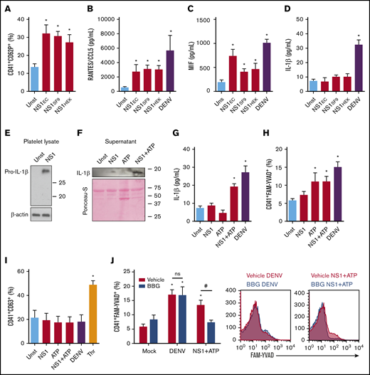 Stimulation with NS1 partially reproduces the inflammatory pathways of DENV-infected platelets. (A-D) Platelets from healthy volunteers were kept unstimulated (Unst) or stimulated with NS1 (5 µg/mL) produced by transfected E coli (NS1EC), mammalian HEK cells (NS1HEK), or insect SF9 cells (NS1SF9) or were infected with DENV (MOI = 1) for 3 hours. (A) The percentage of P-selectin (CD62P) surface expression on platelets; and the concentrations of RANTES/CCL5 (B), MIF (C), and IL-1β (D) in platelet supernatants were evaluated. (E-I) Platelets were stimulated with NS1 produced in SF9 cells (5 µg/mL) and/or ATP (5 mM) or infected with DENV (MOI = 1) for 3 hours. The expression of pro-IL-1β and β-actin in platelet lysates (E); the expression of IL-1β in platelet supernatants (F); the concentration of IL-1β in platelet supernatants (G); labeling of active caspase-1 in intact platelets (H); and the percent of platelet CD63 surface expression (I) were evaluated in each condition. Platelets stimulated with thrombin (Thr, 0.5 U/mL) were used as the positive control for CD63 expression. (J) Platelets were infected with DENV or stimulated with NS1+ATP in the presence of dimethyl sulfoxide (DMSO; vehicle) or BBG. Caspase-1 activity was evaluated in each condition. Bars represent mean ± standard error of the mean of 4 to 10 independent experiments. *P < .05 compared with unstimulated; #P < .05 between platelets treated with vehicle or BBG. ns, nonsignificant.