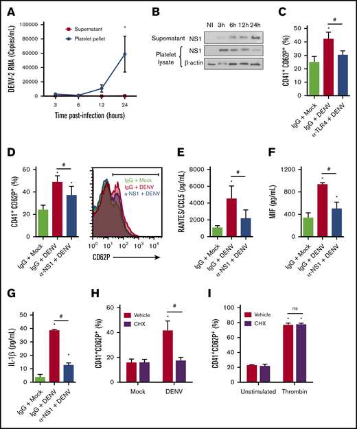 DENV activates platelets through an NS1 autocrine loop. (A-B) Platelets from healthy donors were infected with DENV-2 (MOI = 1). At 1.5 hours after infection, unbound viruses were washed out, and after 3, 6, 12, and 24 hours postinfectious platelet pellets and supernatants were collected for quantification of viral RNA (A) and analysis of NS1 synthesis and secretion (B). β-Actin was used as the loading control. (C-G) Platelets were infected with DENV-2 (MOI = 1) in the presence of anti-TLR4 (C) or anti-NS1 (D-G) neutralizing antibodies or isotype-matched IgG. (C-D) The percentage of platelets expressing surface P-selectin (CD62P), and the concentrations of RANTES/CCL5 (E), MIF (F), and IL-1β (G) were quantified at 6 hours after infection. (H-I) The percentage of P-selectin surface expression on platelets pretreated with cycloheximide (10 µM, 30 minutes) and infected with DENV (MOI = 1) (H) or thrombin (0.5 U/mL) (I) for 6 hours. Dots or bars represent mean ± standard error of the mean of 3 to 4 independent experiments. *P < .05 compared with mock; #P < .05 between selected groups.