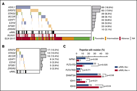 Incidences of sAML-like gene mutations. (A) sAML-like gene mutation in the whole population of 471 patients analyzed. (B) sAML-like gene mutation in the subset of 129 patients with ELN-2017 intermediate-risk AML who were analyzed. Of note, none of these patients had AML with ASXL1 and/or RUNX1 gene mutation, which are 2 criteria for adverse-risk AML in this classification. In these patients, the incidence of sAML-like mutations was not higher in patients with chromosomal abnormalities compared with those with a normal karyotype (41% vs 36%; P = .59). sAML is clinically defined as patients with prior myelodysplastic syndromes or chronic myelomonocytic leukemia (N = 74 patients). (C) Incidences of NPM1, FLT3, IDH1/2, and DNMT3A gene mutations in ELN-2017 intermediate-risk AML analyzed, according to the presence (n = 49) or absence (n = 80) of sAML-like gene mutations. As shown, FLT3-ITD mutations were more frequently observed in patients without sAML-like mutations, whereas IDH2 mutations were more frequently observed in those with sAML-like mutations. Of note, among these IDH2 gene mutations, the incidence of the poor-prognosis IDH2 R172 mutation was 6/49 vs 9/80 (P = .54).