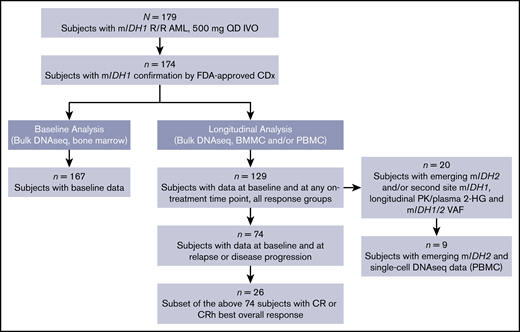 Patient flow diagram summarizing analysis sets. Analyses did not include all patients treated in this population because of several factors, including lack of complete sample availability for all protocol-designated time points and/or suboptimal quantity and/or quality of some samples, resulting in failure to obtain valid data. BMMC, bone marrow mononuclear cell; CDx, companion diagnostic test; DNAseq, DNA sequencing; FDA, US Food and Drug Administration; IDH, isocitrate dehydrogenase; IVO, ivosidenib; PBMC, peripheral blood mononuclear cell; PK, pharmacokinetics; VAF, variant allele frequency.