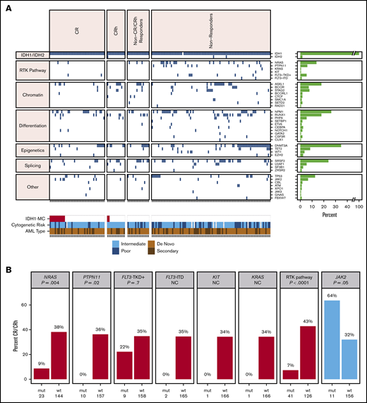 Baseline co-occurring mutation analysis. (A) Heat map showing co-occurring mutations at baseline by best overall response category (NGS; whole bone marrow; n = 167 patients). Merge of dose-escalation and dose-expansion data (VAF cutoff, 1%-5%). Cytogenetic risk was classified according to the National Comprehensive Cancer Network Clinical Practice Guidelines for AML, version 1.2015. The bar graph depicts the frequency of genes with co-occurring mutations. A similar heat map with detected mutations by VAF level is provided in supplemental Figure 1. (B) Association between mutation status and best response. P value is based on Fisher’s exact test examining the association between specific pathway or gene mutations and best overall response of CR/CRh vs non-CR/CRh responders and nonresponders. NC denotes P value not calculated because of small number of patients with mutation. FLT3-TKD+ denotes FLT3-TKD or juxtamembrane domain point mutations. Data source: 167 patients with baseline NGS data from whole bone marrow. IDH1-MC, IDH1 mutation clearance; ITD, internal tandem duplication; mut, mutant; wt, wild-type.