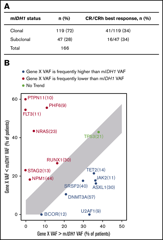 Clonal hierarchy of mIDH1 and co-occurring mutations. (A) Association of clinical response and mIDH1 clonal/subclonal status. mIDH1 was defined as subclonal in a sample if any comutation VAF was greater than mIDH1 VAF +5%; otherwise, it was defined as clonal. See details in the supplemental Methods. (B) Plot showing the tally of how often a co-occurring gene VAF is observed to be lower (red) or higher (blue) than mIDH1 VAF by NGS. Only genes that were mutated in at least 5% of patients are shown. Per-gene VAFs are detailed in supplemental Figure 4. For each gene X, the subset of patients with a mutation in gene X is selected (n in parentheses) and plotted, with the x-axis showing the percentage of patients where gene X VAF > mIDH1 VAF +5% and the y-axis showing the percentage of patients where gene X VAF < mIDH1 VAF −5%.
