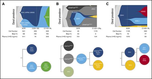 Polyclonal relapse mechanisms. Single-cell analysis showing clonal evolution in individual patients. (A) mIDH2 acquired in the same clone as mIDH1, with elevation of 2-HG at relapse. Two distinct mIDH1 clones were present at baseline: 1 harboring NPM1/NRAS and the other harboring NPM1/FLT3-TKD comutations. After ivosidenib treatment, the IDH1/NPM1/NRAS clone was no longer detected. Reduction in the IDH1/NPM1/FLT3-TKD clone was observed at cycle 2 day 1, but it ultimately expanded at relapse with the acquisition of mIDH2. (B) mIDH2 was not detected at baseline, but emergence of mIDH2 in a separate clone than mIDH1 was observed at cycle 12 day 1, with elevation of 2-HG. (C) mIDH2 was present at baseline (though not detected by bulk NGS) in a distinct clone to mIDH1, with clinical relapse associated with detection of an NRAS clone. In this case of NRAS-driven clinical relapse, the 2-HG levels remained low at relapse. Additional details on these cases shown in supplemental Figure 7. NS, not specified.