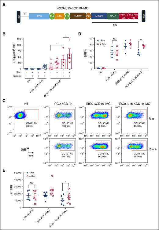IL-15 synergizes with iMC to enhance NK cell proliferation. (A) Schematic retroviral vector design iRC9-IL15-ΔCD19-iMC encoding iRC9, human IL-15, truncated human CD19, and iMC with the transgenes separated by T2A and P2A ribosomal skipping sequences. (B) IL-15 production from supernatant of nontransduced (NT) or iRC9-ΔCD19-iMC– or iRC9-IL15-ΔCD19-iMC–modified NK cells cocultured with or without K562 targets at an effector/target ratio of 3:1 for 72 hours in the absence or presence of 1 nM of rimiducid (Rim) was determined by enzyme-linked immunosorbent assay. Paired Student t test was used to compare the indicated groups. (C-D) NT or iRC9-ΔCD19–, iRC9-ΔCD19-iMC–, or iRC9-IL15-ΔCD19-iMC–modified NKs treated with or without 1 nM of Rim for 6 days. Transgene expression as indicated by CD19+ percentage. Paired Student t test was used to compare indicated groups. (E) CD19 transgene expression in iRC9-ΔCD19–, iRC9-ΔCD19-iMC–, or iRC9-IL15-ΔCD19-iMC–modified NKs was determined with or without pretreatment with 1 nM of Rim. Paired Student t test was used to compare indicated groups. *P < .05, **P < .01.