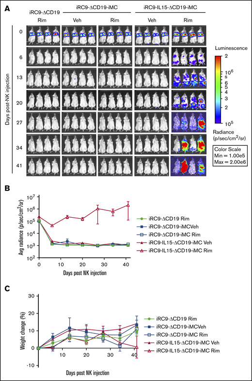 IL-15 synergizes with iMC to enhance NK persistence in vivo. (A) NSG mice were engrafted with 1 × 107 NK cells transduced with iRC9-ΔCD19 iRC9-ΔCD19-iMC or iRC9-IL15-ΔCD19-iMC and eGFPFfluc retroviral vectors. Mice subsequently received weekly IP vehicle only (Veh) or rimiducid (Rim) injections of 1 mg/kg in the vehicle. (B) Gene-modified NK cells levels were assessed by BLI weekly; 2-way analysis of variance (ANOVA) was used to compare differences among groups (P < .01). (C) Mice weights were assessed weekly; 2-way ANOVA was used to compare differences among groups (P = .30). p, photon; sr, steradian.