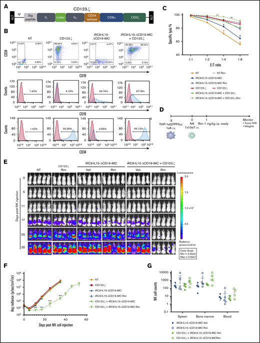 Generation of CAR-NK cells with iMC and IL-15 targeting CD123. (A) Schematic retroviral vector encoding signal peptide, CD123-targeting single-chain variable fragment variable light (VL) and heavy (VH) domains, the minimal CD34 epitope, CD8α stalk and transmembrane region, and the CD3ζ signaling domain. (B) Activated NK cells were doubly transduced with γ-retroviral vector encoding CD123.ζ (CAR) and/or dual-switch iRC9-IL15-ΔCD19-iMC. Flow cytometric analysis to determine transduction efficiency using anti-CD34 (CD123.ζ) and anti-CD19 (iRC9-IL15-ΔCD19-iMC) antibodies compared with nontransduced (NT) or single transduced NK cells. NK cells were first gated out as CD56+ populations. (C) Gene-modified NK cells (n = 4 donors) were cocultured with THP-1–eGFPFfluc cells at dilutive effector/target (E:T) ratios in the presence or absence of 1 nM of rimiducid (Rim) for 24 hours. Tumor-cell killing percentages were calculated by luciferase activity relative to tumor cells alone. Multiple Student t tests were used to compare iRC9-IL15-ΔCD19-iMC Rim and iRC9-IL15-ΔCD19-iMC plus CD123.ζ Rim. (D-F) NSG mice (n = 5 per group) were engrafted with 106 THP-1–eGFPFFluc tumor cells and, 3 days later, treated with 107 NK cells, NT or transduced with CD123.ζ, DS.IL15, or CD123.ζ plus DS.IL15. Mice were subsequently administered weekly IP vehicle (Veh) or 1 mg/kg of Rim. Tumor BLI was assessed by IVIS. Multiple Student t tests were used to compare CD123.ζ plus iRC9-IL15-ΔCD19-iMC Rim group with NT group. (G) At day 53 after NK therapy, CD123.ζ plus DS.IL15 Rim group was euthanized. Human NK cells were identified in spleen, bone marrow, and peripheral blood by flow cytometric analysis as hCD56+mCD45− populations. All groups were euthanized at time point day 35, except for the DS.IL15 plus CD123.ζ Rim group that was obtained at day 53; 2-way analysis of variance was performed for comparisons (P = .059). **P < .01, ***P < .001.