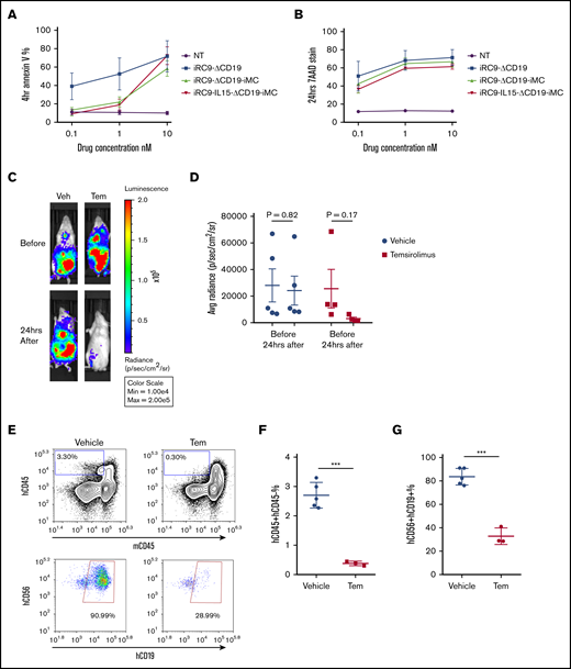 Elimination of NK cells with the iRC9 safety switch. (A) Nontransduced (NT) NK cells or iRC9-ΔCD19–, iRC9-ΔCD19-iMC–, or iRC9-IL15-ΔCD19-iMC–modified NK cells were administrated with temsirolimus (Tem) at concentrations 0, 0.1, 1, and 10 nM for 4 hours. Annexin V staining was assessed by flow cytometry. (B) Tem at increasing concentrations was administrated for 24 hours. 7AAD permeability was assessed by flow cytometry. Cells were first gated as CD56+CD19+ for transduced NK cells and CD56+ for NT NK cells. (C-G) Nine NSG mice engrafted with iRC9-IL15-ΔCD19-iMC–modified NK cells were randomly divided into 2 groups. Four mice received 1 mg/kg of Tem IP, whereas 5 mice had the same volume of vehicle (Veh) administered. (C-D) Before injection and 24 hours later, BLI was determined for NK presence in vivo. (E-G) Mice were then euthanized, and spleens were analyzed for the presence of NK cells by flow cytometry. Human cells were identified as hCD45+mCD45− populations. Transduced NKs were identified as hCD45+mCD45−hCD56+hCD19+ populations. Student t test was used for comparisons. ***P < .001.