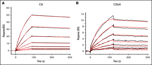 The mAb 1C9 binds to C6 in free circulation and within the C5b6 complex with high affinity. SPR sensorgram shows the binding kinetics for C6 (A) and C5b6 (B) with immobilized 1C9 antibody. Data are shown as black lines, and the best fits of the data to a 1:1 binding model (antigen-binding fragment) are shown in red.
