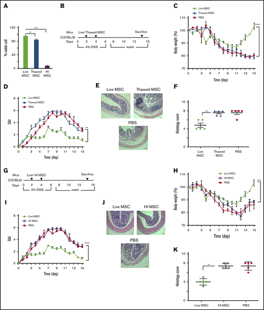 Metabolic fitness is indispensable for BM-MSCs’ therapeutic ability in DSS-induced colitis. (A) Trypan blue dye exclusion assay to measure the viability of fresh, postthawed or heat-inactivated BM-MSCs. (B) Schematic of the experimental setup for results presented in panels C-F. (G) Schematic of the experimental setup for results indicated in panels H-K (mice, N = 5 per test group). Development of colitis was examined by measuring body weight change relative to the initial body weight at day 0 (C,H), disease activity index (D,I), H&E staining of colon (E,J), and histological score (F,K). (E,J) Bars represent 100 μm. Statistical analysis was assessed by Student t test (E,J), 1-way ANOVA (Tukey test) (A), and 2-way ANOVA (Tukey test) for all other experiments. **P < .01, ***P < .001, ****P < .0001.