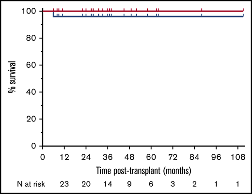 OS/EFS and chronic GHVD-free survival. The OS/EFS (red line) and 1-year OS/EFS probabilities (100%) and the chronic GHVD-free survival (blue line) and 1-year GFS probability (95% confidence interval, 68.12-99.24) are shown.