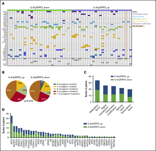 AZA-mediated modulations of IL-6–induced STAT3 phosphorylation in Tcons are not linked to the mutation number and profile of HR-MDS patients. (A) Spectrum of recurrent mutations and cytogenetic abnormalities in patients who downregulated (green) or upregulated (purple) the IL-6/STAT3 signaling axis in Tcons. Each column represents an individual patient sample. (Β) Comparable number of oncogenic mutations before AZA initiation between IL-6/STAT3 downregulators and upregulators. (C) No associations of any functional pathway of oncogenic mutations with the AZA-induced IL6/STAT3 signaling alterations in Tcons. (D) Frequency of driver mutations or karyotypic abnormalities in the IL-6/pSTAT3_down (green) and IL-6/pSTA3_up (blue) groups. No statistically significant associations of single mutations with IL-6/STAT3 modifications were found.