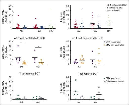 NK cell analysis. NK cell repertoire at 3 and 6 months after allo-SCT. Where indicated, transplant samples were stratified for CMV-reactivated recipients (filled symbols) or CMV-seronegative recipients (open symbols). Bullets depict recipients of the prospective αβ T-cell–depleted cohort; squares depict recipients of the T-cell–replete cohort; triangles depict healthy donors. All cell fractions are presented as fraction of NK cells. Statistics: Mann-Whitney U test (*P < .05; **P < .01). Comparisons without indication of significance where not statistically different.
