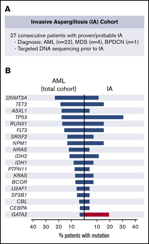IA cohort. (A) Description of the IA cohort. (B) Frequency of recurrent driver mutations in patients with AML at our institution (left) and observed frequency in the IA cohort (right). BPDCN, blastic plasmacytoid dendritic cell neoplasm.