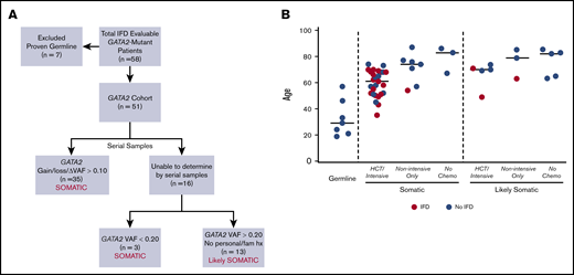 GATA2 cohort. (A) The approach to defining GATA2 mutations as somatic or likely somatic. (B) Age distribution comparing patients with proven germline GATA2 mutations (n = 7) and patients with definitive (n = 38) or likely (n = 13) GATA2 mutations, based on the framework outlined in panel A. Red points indicate proven, probable, or possible-treated cases of IFD. VAF, variant allele frequency.