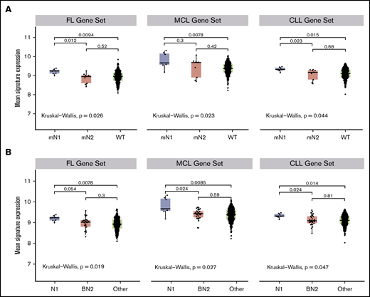 Notch target gene expression is elevated in NOTCH1-mutated DLBCLs and not in NOTCH2-mutated or BN2 DLBCLs. Three hundred nine DLBCLs with RNA-seq data were sorted into (A) NOTCH1-mutated (mN1, N = 7), NOTCH2-mutated (mN2, N = 9), and Notch wild-type (WT, N = 293) subgroups, or (B) N1, BN2, and “other” subgroups, and then compared for expression of Notch target genes using Notch-sensitive genes identified in follicular lymphoma (FL), MCL, and CLL. The Kruskal-Wallis test was used to evaluate gene expression in Notch-mutated and Notch wild-type tumors, whereas the Mann-Whitney U test was used to do pairwise evaluations of gene expression across all 3 DLBCL subgroups.