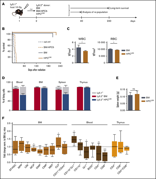 HPCLSKcell lines can repopulate the hematopoietic system. (A) Experimental scheme: Ly5.1+-recipient mice were lethally irradiated (10 Gy) 24 hours prior to IV injection of 1 × 107 Ly5.2+ BM (positive control), BM-HPC5, or HPCLSK cells. Forty days later, some mice of the BM and HPCLSK-injected group were euthanized, and hematopoietic organs were analyzed. The remaining injected mice were analyzed for their long-term survival. (B) Survival of BM- (n = 7), BM-HPC5- (n = 8), and HPCLSKs- (n = 10) injected mice compared with radiation control (n = 9), log-rank (Mantel-Cox) test. ***P <.0001. (C) WBCs and red blood cells in peripheral blood of BM- and HPCLSK-injected recipients were compared 40 days after treatment. Data are presented as mean ± standard error of the mean (SEM; *P <.01, Student t test or Mann-Whitney test for platelets) in 6 to 12 mice per group. (D) Comparison of Ly5.2+ BM vs HPCLSK cells’ engraftment in the blood, BM, spleen, and thymus of lethally irradiated Ly5.1+ mice after 40 days. Data are presented as mean ± SD, n ≥ 4. (E) Spleen weights of mice 40 days after lethal irradiation and BM or HPCLSK injection. Data represent mean ± SD, n ≥ 5. (F) Composition of the engrafted Ly5.2+ HPCLSK cells in blood, BM, and thymus after 40 days. ST-HSC, MPP (Lin−, Sca-1+, c-Kit+, CD150−, CD48+), LSKs (Lin−, Sca-1+, c-Kit+), MCP (myeloid committed progenitor, Lin−, IL-7R−, Sca-1−, c-Kit+), GMP (granulocyte-monocyte progenitor, Lin−, IL-7R−, Sca-1−, c-Kit+, CD16/32+, CD34+), CMP (common myeloid progenitor, Lin−, IL-7R−, Sca-1−, c-Kit+, CD16/32−, CD34+), MEP (megakaryocyte-erythrocyte progenitor, Lin−, IL-7R−, Sca-1−, c-Kit+, CD16/32−, CD34−), CLP (common lymphoid progenitor, Lin−, IL7-R+, c-Kitmid, Sca-1mid); and in vivo differentiated populations: erythroblast (CD71/CD44+), granulocyte (Gr-1+), monocyte (CD11b+), eosinophil/neutrophil (Gr-1/CD11b+), T cell (CD4 or CD8+), and B cell (B220+) are depicted as fold change compared with BM-injected mice. n = 6 to 12 per group, *P <.05; **P <.01; ***P <.001 by Student t test. Ctrl, control; inj., injected; ns, not significant; rad, radiation; RBC, red blood cell.