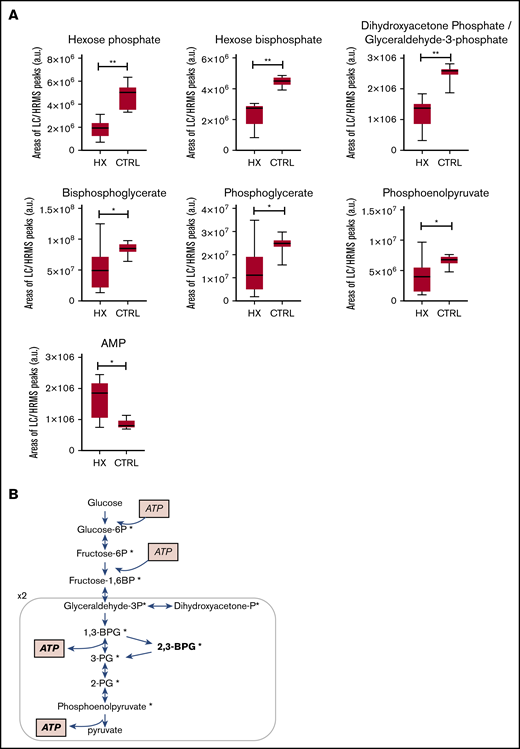 RBC metabolome analysis showed decreased levels of 6 glycolysis intermediates in 10 HX subjects compared with 10 controls. (A) Individual levels of 6 glycolysis intermediates (*P < .05, **P < .01). (B) The decreased metabolites (marked with an asterisk) are shown on as simplified scheme of glycolysis, hexose, and pyruvate levels were not affected. a.u., arbitrary units; CTRL, control.