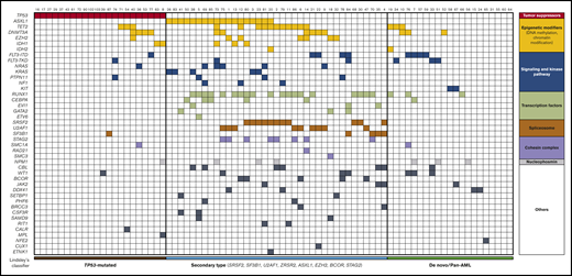 Integrated matrix of the 80 assigned patients and mutations. Mutated genes are grouped by broad biological pathways and according to Lindsley’s classifier.