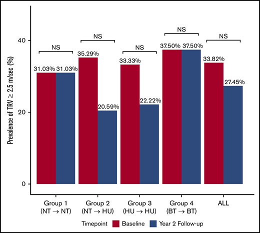 Prevalence of TRV ≥2.5 m/s at baseline and at 2-year follow-up evaluation. Proportion of participants with elevated TRV (≥2.5 m/s) in the entire cohort and within each subgroup at baseline and 2-year follow-up evaluation. Group 1: not on DMT at baseline or 2-year evaluation; group 2: not on DMT at baseline evaluation, but started on hydroxyurea prior to the 2-year evaluation; group 3: on hydroxyurea at baseline and at 2-year evaluation; group 4: on monthly blood transfusion at baseline and at 2-year evaluation. NS, not significant.