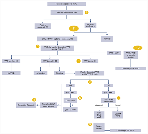 An overall algorithm addressing the diagnosis of VWD. The numbers in the yellow circles correspond to guideline questions. VWF levels refer to VWF antigen (VWF:Ag) and/or platelet-dependent VWF activity. The algorithm says VWF level 30 to 50 for simplicity; this refers to VWF levels of 0.30 to 0.50 IU/mL, with the caveat that the lower limit of the normal range as determined by the local laboratory should be used if it is <0.50 IU/mL. *Men and children, referred to a hematologist and/or first-degree relative affected with VWD. BS, bleeding score; CBC, complete blood count; DDAVP, desmopressin; FVIII, factor FVIII; FVIII:C, FVIII coagulant activity; PT, prothrombin time; PTT, partial thromboplastin time; r/o, rule out; TT, thrombin time; VWF:CB/Ag, ratio of VWF collagen binding to antigen; VWF:FVIIIB, VWF FVIII binding.