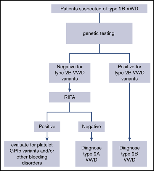 An algorithm for the diagnosis of type 2B VWD. GPIb, glycoprotein Ib; RIPA, ristocetin-induced platelet agglutination.