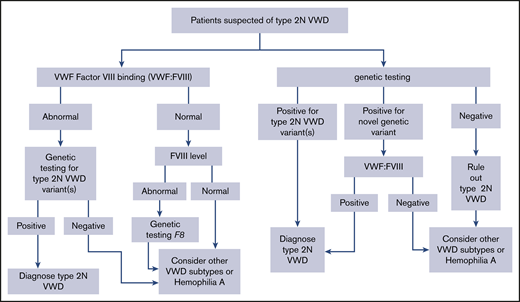 An algorithm for the diagnosis of type 2N VWD.