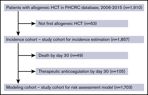 Study flow diagram with inclusion and exclusion criteria for the cumulative incidence cohort and the RAM cohort.
