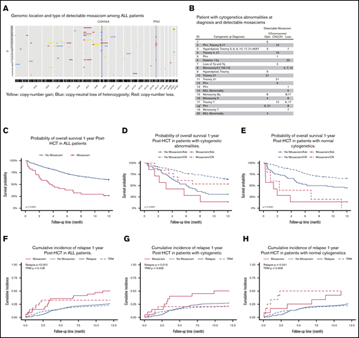Characteristics of detectable pre-HCT mosaicism in ALL patients. (A) Genomic location and type of detectable mosaicism among ALL patients. (B) Patient with cytogenetic abnormalities at diagnosis and detectable mosaicisms. 1No detailed cytogenetics report at diagnosis. 2Complex chromosome aberration in the major histocompatibility complex region. (C) Probability of OS 1 year post-HCT in ALL patients. (D) Probability of OS 1 year post-HCT in patients with cytogenetic abnormalities. (E) Probability of OS 1 year post-HCT in patients with normal cytogenetics. (F) Cumulative incidence of relapse 1 year post-HCT in ALL patients. (G) Cumulative incidence of relapse 1 year post-HCT in patients with cytogenetic abnormalities. (H) Cumulative incidence of relapse 1 year post-HCT in patients with normal cytogenetics. TRM, transplant-related mortality.