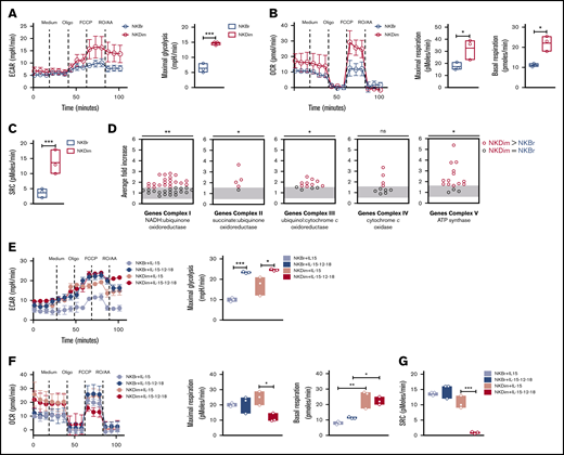 Steady-state CD56DimNK cells have latent mitochondrial activity and undergo a metabolic switch upon cytokine stimulation. (A-C) Metabolic function analyzed by extracellular flux analysis (EFA) in freshly fluorescence-activated cell-sorted (FACS) NKBr and NKDim cells. Cells were sequentially treated with glucose medium (medium), oligomycin A (Oligo), FCCP, and RO plus AA as indicated. (A) ECARs and maximal glycolysis (average values after glucose injection minus average basal ECAR values). (B) OCR plot. Calculation of the maximal respiration (average maximal OCR after FCCP) and basal respiration (average basal respiration after medium injection). (C) Mitochondrial spare respiratory capacity (SRC; average maximal OCR values after FCCP injection minus baseline OCR; data are representative of 3 independent experiments with 2 or 3 donors each). (D) Average fold increase comparing NKBr and NKDim cells is shown for all genes in OXPHOS complexes. Each dot represents the median relative expression level across donors. (E-G) EFA analysis in FACS NKBr and NKDim cells cultured for 18 hours in presence of IL-15 ± IL-12/18. Cells were sequentially treated as indicated above. ECAR and maximal glycolysis (E), OCR, maximal, and basal respiration (F), and SRC (G) (data are representative of 3 independent experiments; data are mean ± SEM). P > .05 was considered not significant (ns; or not indicated). *P < .05, **P < .01, ***P < .001 using 1-way analysis of variance with Tukey’s correction.