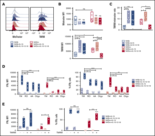 Mitochondrial membrane potential regulates cytokine production in cytokine-activated NK cells. (A-C) Mitochondrial mass was assessed by MitoTracker green and membrane potential (Δψm) by TMRM incorporation in freshly sorted NKBr and NKDim cells (empty bars) and cultured for 18 hours in presence of IL-15 ± IL-12/18 (filled bars). (C) TMRM/Mitotracker ratio (data are mean ± SEM; data summarized from 4 independent experiments with 2 donors each). (D) Primed or activated NKBr and NKDim cells were cultured for 18 hours with the following inhibitors: 10 μM of RO, 10 μM of AA, and 2 nM of oligomycin A. Expression of IFN-γ and percentage of cells producing IFN-γ were monitored by fluorescence-activated cell sorting (FACS; data from 3 independent experiments with at least 2 donors each). (E) TMRM+ and TMRM− NKBr and NKDim cells were sorted and cultured with IL-15 or IL-15/12/18 for 18 hours. Expression of IFN-γ and percentage of positive cells in the different conditions were measured by FACS (data from 4 HDs). P > .05 was considered not significant (ns). *P < .05, **P < .01, ***P < .001, ****P < .0001 using 1-way analysis of variance with Tukey’s correction.