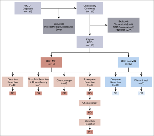 Enrolling procedure, treatment options, and response.