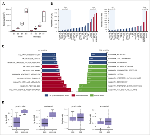 DLBCL subsets exhibit different sensitivities to pracinostat. (A) The in vivo activity of pracinostat was assessed in the TMD8 DLBCL xenograft model. Pracinostat significantly delayed tumor growth after 3 days of treatment. Boxplots represent tumor volumes (mm3) for vehicle- and pracinostat-treated mice. Midlines indicate the median, upper and lower perimeters indicate the 25th and 75th percentiles, and tails indicate minimum and maximum values. (B) Individual IC50 values for DLBCLs are shown. High-sensitivity (IC50 ≤ 0.5 × median IC50) and low-sensitivity (IC50 ≥ 2 × median IC50) DLBCLs are highlighted in the blue boxes. Red bars correspond to OxPhos-DLBCLs. (C) Functional annotation analysis to compare low-sensitivity (IC50 ≥ 2 × median IC50 for pracinostat) vs high-sensitivity (IC50 ≤ 0.5 × median IC50 for pracinostat) DLBCLs revealed an enrichment of fatty acid metabolism–related transcripts in low-sensitivity DLBCLs (left, red bars). High-sensitivity DLBCLs (right) were enriched for immune-related pathways (yellow bars). Cell cycle and apoptosis-related pathways (blue bars) were enriched in both low- and high-sensitivity DLBCLs. The top 10 enriched Hallmark gene sets (P < .05 and false discovery rate < .05) are shown for each sensitivity group. (D) Comparison of IC50 values for BCR-DLBCLs and OxPhos-DLBCLs showed that OxPhos-DLBCLs were significantly less sensitive to pracinostat and vorinostat than were BCR-DLBCLs. Comparison of ABC-DLBCLs and GCB-DLBCLs showed that these molecular subtypes exhibited similar sensitivities to HDACis. The midlines indicate the median, upper and lower perimeters indicate the 25th and 75th percentiles, and tails indicate minimum and maximum values. Two-sided Student t test: *P < .05; **P < .01; ***P < .001.