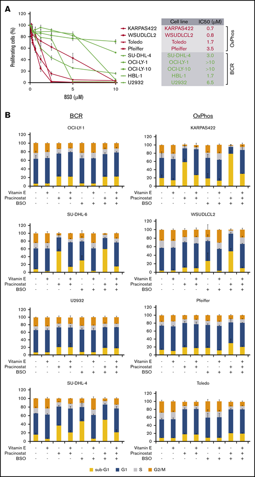Inhibition of antioxidant production renders OxPhos-DLBCLs more sensitive to HDACi treatment. (A) Left: OxPhos-DLBCLs and BCR-DLBCLs were treated with increasing concentrations of BSO, a chemical inhibitor of glutathione production. OxPhos-DLBCLs (red lines) exhibited a greater vulnerability to BSO treatment than BCR-DLBCLs (green lines). Right: IC50 values for OxPhos-DLBCLs (red) and BCR-DLBCLs (green) treated with BSO. (B) Cell cycle analysis of DLBCLs treated with a combination of pracinostat (250 nM) and BSO (10 µM). For OxPhos-DLBCLs (right), dual treatment markedly augmented the sub-G1 fraction in comparison with single treatment with either drug alone. Preincubation with the antioxidant vitamin E (100 µM) rescued cells from the cytotoxicity of dual treatment. Dual treatment did not increase the sub-G1 fraction in BCR-DLBCLs (left). (C) Schema illustrating proposed mechanism of reduced OxPhos-DLBCL sensitivity to HDACi-induced cytotoxicity via upregulation of ROS. Left panel: intrinsically high glutathione production in OxPhos-DLBCLs41 neutralizes ROS produced by HDACi treatment, resulting in reduced OxPhos-DLBCL cell death. Right panel: BSO is a specific inhibitor of γ-glutamyl cysteine ligase (GCL), a crucial enzyme in glutathione synthesis. Dual treatment with BSO and HDACi increases OxPhos-DLBCL cell killing. The increased cytotoxicity of dual BSO-HDACi treatment can be blocked by pretreatment with the antioxidant vitamin E (not shown), reducing OxPhos-DLBCL cell death to the level seen when cells are treated with HDACi alone (as shown in left panel). Experiments were performed at least twice. Error bars denote standard deviation.