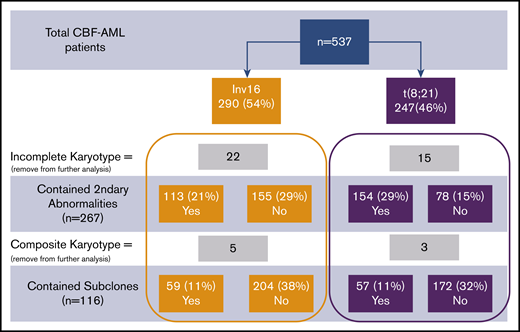 Consort diagram of patient cohort. Percentages provided were calculated in comparison with total patients.