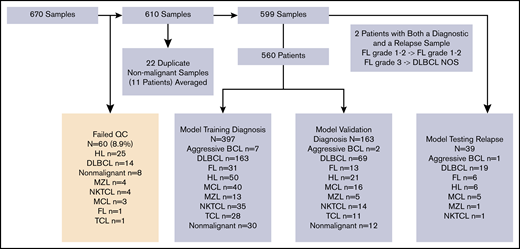 Schema of samples from INCAN. Of 670 FFPE biopsy specimens, 60 failed quality control based on expression of housekeeping genes. Among the remaining 610, 11 patients had 2 samples each, and the results from each pair were averaged. The remaining 599 samples (597 patients) consisted of 560 obtained before therapy and 39 after relapse. Two patients had biopsy specimens both before therapy and after relapse; 1 had FL grade 1 to 2 at both time points, and 1 had FL grade 3A before treatment and DLBCL-not otherwise specified (NOS) at relapse. Untreated biopsy specimens were divided into training (n = 397) and validation/testing (n = 163) cohorts.
