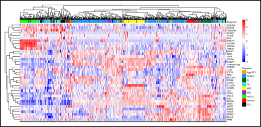 Unsupervised hierarchical clustering using Spearman correlation with complete linkage of the 560 biopsy specimens obtained before therapy based on normalized gene expression across the 37 genes in the CLPA. Diagnosis is according to IHC-based classification. Agg BCL, aggressive B-cell lymphoma; Nonmal, nonmalignant.