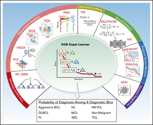 Schematic outlining the 13 base learner models used by the XGB Super Learner to determine classification. This involves categorization into 1 of 9 diagnostic bins. GBM, stochastic gradient boosting; HDDA, high dimensional discriminant analysis; KNN, k-nearest neighbors; MDA, mixture discriminant analysis; MULTINOM, penalized multinomial regression; NB, naïve Bayes; NN, neural network; PAM, nearest shrunken centroids; PDA, penalized discriminant analysis; PLS, partial least squares; RF, random forest; SVMPOLY, support vector machine with polynomial kernel; SVMRAD, support vector machine with radial kernel with radial kernel; XGB, eXtreme gradient boosting.