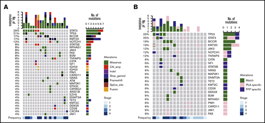 NGS of plasma cfDNA and tumor gDNA in NKTCL of the training cohort. (A) Overview of baseline mutational profiles in the entire training cohort. (B) Case-level genetic alterations of tumor gDNA and plasma cfDNA in 16 patients with paired plasma/tumor samples. Match indicates variants identified in both tumor gDNA and plasma cfDNA. Formalin-fixed paraffin-embedded (FFP) specific indicates variants identified in tumor gDNA only. Plasma (PLA) specific indicates variants identified in plasma cfDNA only. CN, copy number.