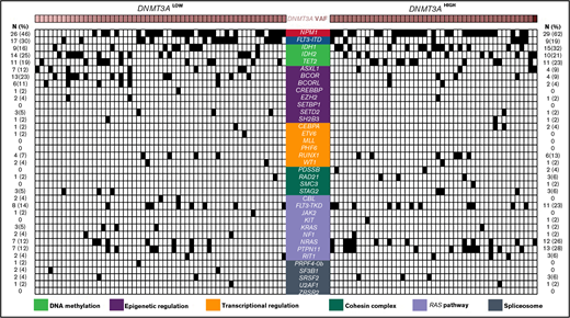 Comparison of comutational profiles for all patients with de novo AML with mutated DNMT3A. All cases of de novo AML with mutated DNMT3A evaluated (n = 104). Each column represents an individual patient. Intensity gradient corresponds to DNMT3A VAF. All comutations are provided in binary format with a black box indicating presence of comutation in that patient. The number and percentage of cases with a specific comutation are listed on the left (for DNMT3ALOW cases) and right (for DNMT3AHIGH cases).