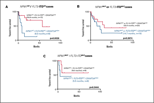 Kaplan-Meier curves showing effect of DNMT3A VAF in normal karyotype patients receiving induction chemotherapy in selected genetically defined subpopulations. Effect of high DNMT3A VAF on EFS in cases with (A) NPM1WT/FLT3-ITDWT (8.3 months, n = 8 vs 56.8 months, n = 15; P = .0028), (B) NPM1MUT or FLT3-ITDMUT (14.7 months, n = 19 vs 32.4 months, n = 20; P = .2674), and (C) NPM1MUT/FLT3-ITDMUT (5.5 months, n = 6 vs not reached, n = 8; P = .3444) subpopulations. Values were generated using the log-rank test.